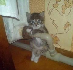 Сегодня ночью в Северодонецке должны включить отопление