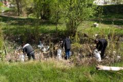 Общественная акция по уборке мусора "Сделаем вместе!" прошла в Северодонецке