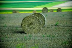 Татьяна Бривко: На агростраховом рынке пора наводить порядок