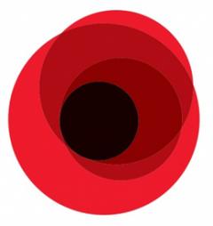 Обласні святкові заходи до 71-ї річниці перемоги над нацизмом у Другій світовій війні за участю керівництва області