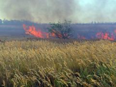 Протягом останніх вихідних 16 та 17 липня рятувальники ліквідували 21 загоряння сухої трави 