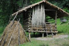 Семейные ферм лишены возможности развиваться