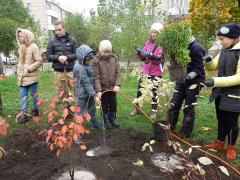 Осенние толоки радуют людей
