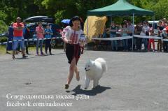 У Сєвєродонецьку пройшла виставка собак
