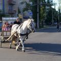 100_5305.jpg