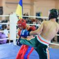 2014_okt_kikboksing_wpka_shkolniki_harkov_309.jpg