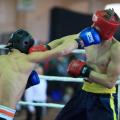 2014_okt_kikboksing_wpka_shkolniki_harkov_339.jpg