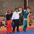 vladislav_stepkin_-_chempion_mira_wpka_2012.jpg vladislav_stepkin_-_chempion_mira_wpka_2012.jpg