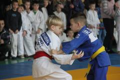 Открытое областное первенство по дзюдо памяти Александра Симовина