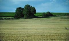 Будет ли гармонизировано украинское агрострахование с европейским?