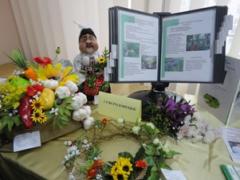 Зеленими килимами простелилися 60 років роботи Сєвєродонецького міського Центру еколого-натуралістичної творчості учнівської молоді