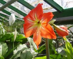 День народження Сєвєродонецького міського Центру  еколого-натуралістичної творчості учнівської молоді