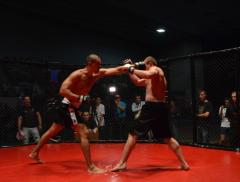 В Северодонецке ко Дню Луганской области прошел грандиозный турнир «Территория силы»