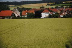 Как скажется административно-территориальная реформа на земельной реформе?