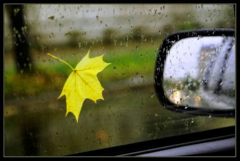 Державтоінспекція звертається до учасників дорожнього руху!