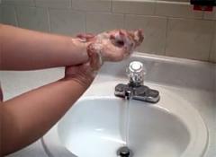 Что нужно знать о вирусном гепатите А