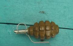 У двух жителей Лисичанска полиция изъяла гранаты