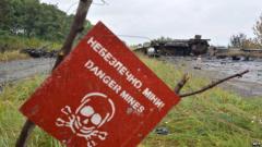 Германия выделит полмиллиона евро на разминирование Донбасса