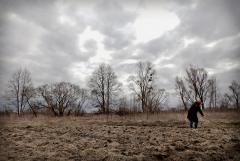 На Луганщине разминировали 5 тысяч гектаров полей