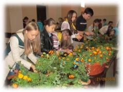 Барвистий настрій в екологічному вихованні