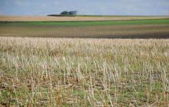 Конференция "Проект USAID "АгроИнвест"