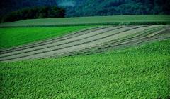 Украинские земельные отношения сквозь призму американского опыта