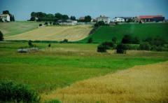 К обеспечению малых и средних сельхозпроизводителей кредитами привлекаются местные бюджеты