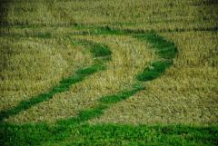 Общественный запрос на аграрные реформы