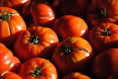 Николай Гриценко: Локальные рынки решают стратегические задачи