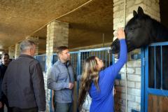 Конные клубы Луганщины планируют турниры и путешествия