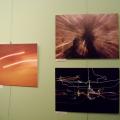 bohan03.jpg bohan03.jpg