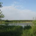 img_5012-1.jpg