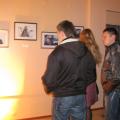 img_7366.jpg