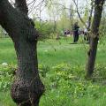vesenniy_gorod_016.jpg vesenniy_gorod_016.jpg